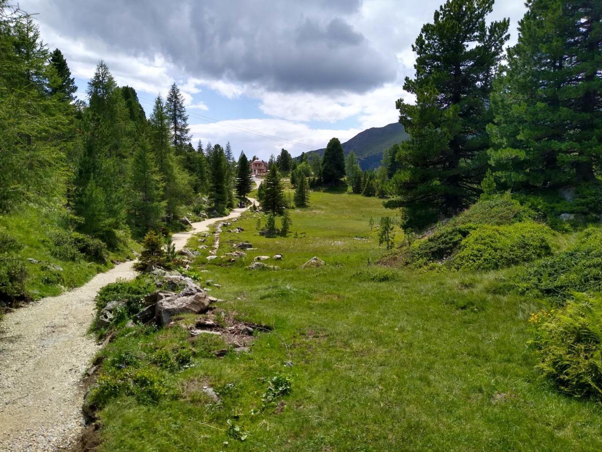 Alpenflair Appartment Mit Aussicht Zum Traeumen Turracher Hohe 외부 사진