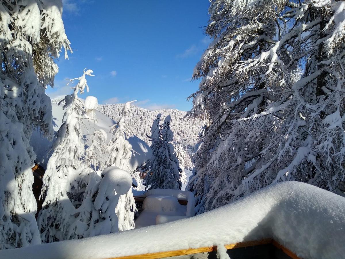 Alpenflair Appartment Mit Aussicht Zum Traeumen Turracher Hohe 외부 사진